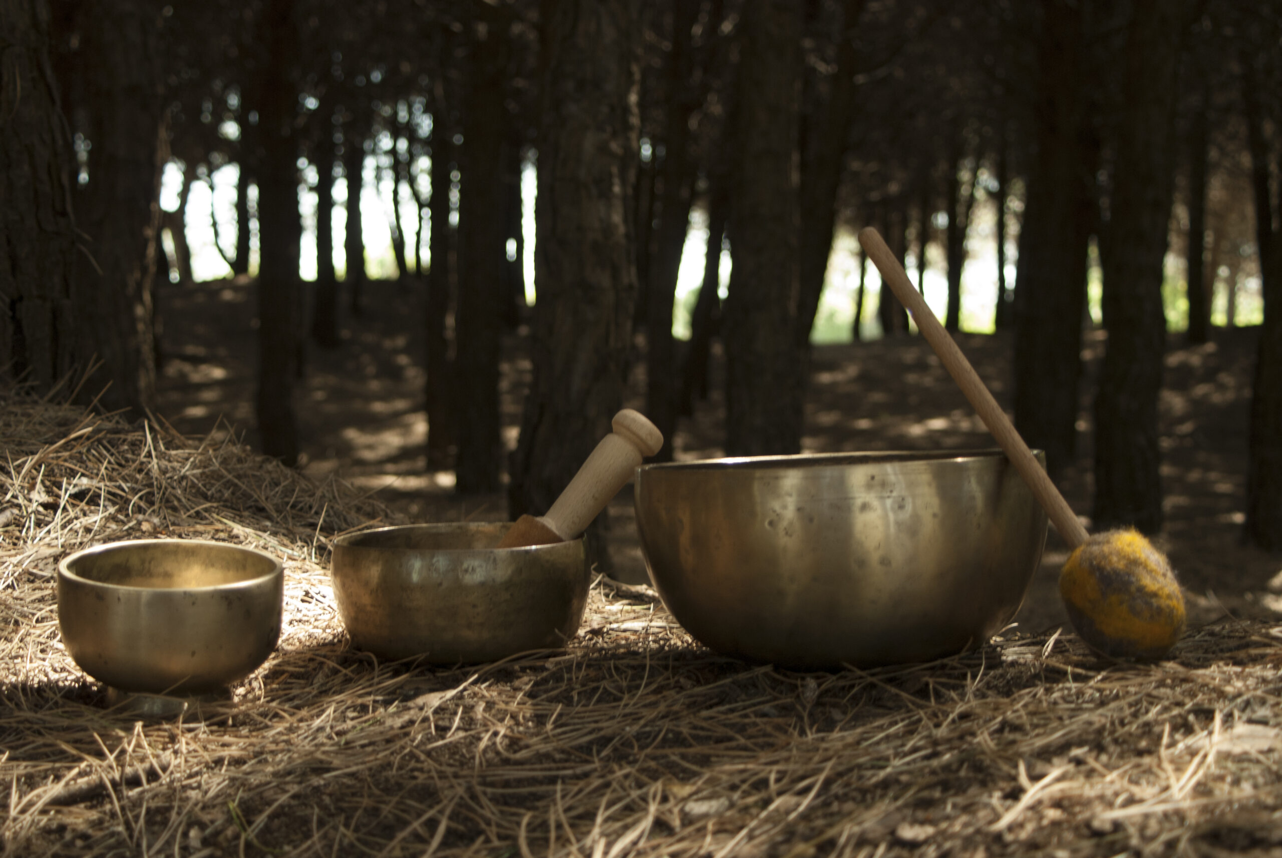 ​​​Corso Formazione 1° Livello (20 ore) Settembre 2026 – a Codognè (TV)